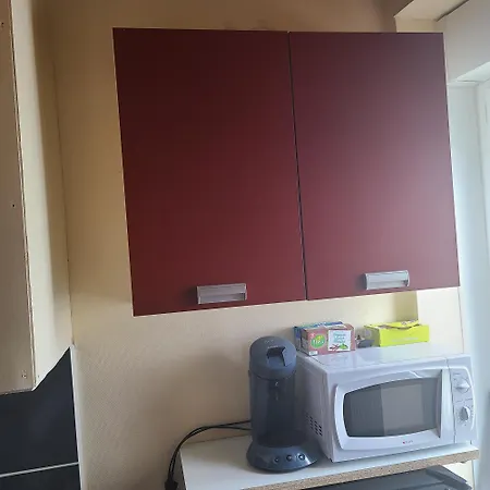 Apartment Pres Du Jardin Des Explorateurs Brest